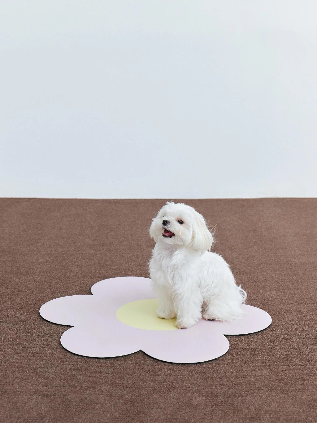 Exciting Mini Mat