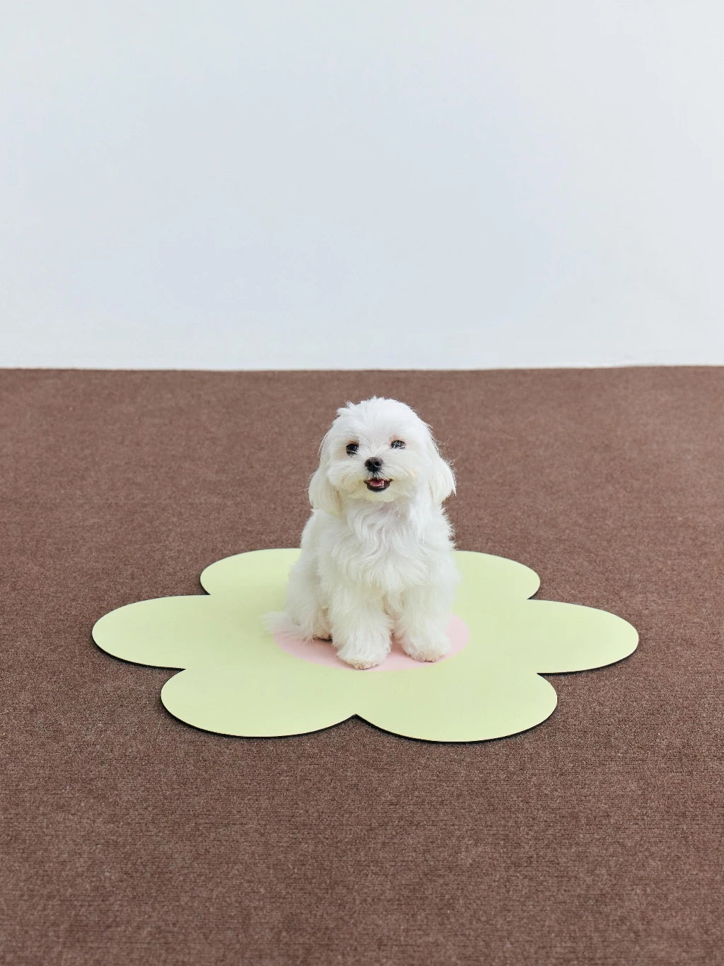 Exciting Mini Mat